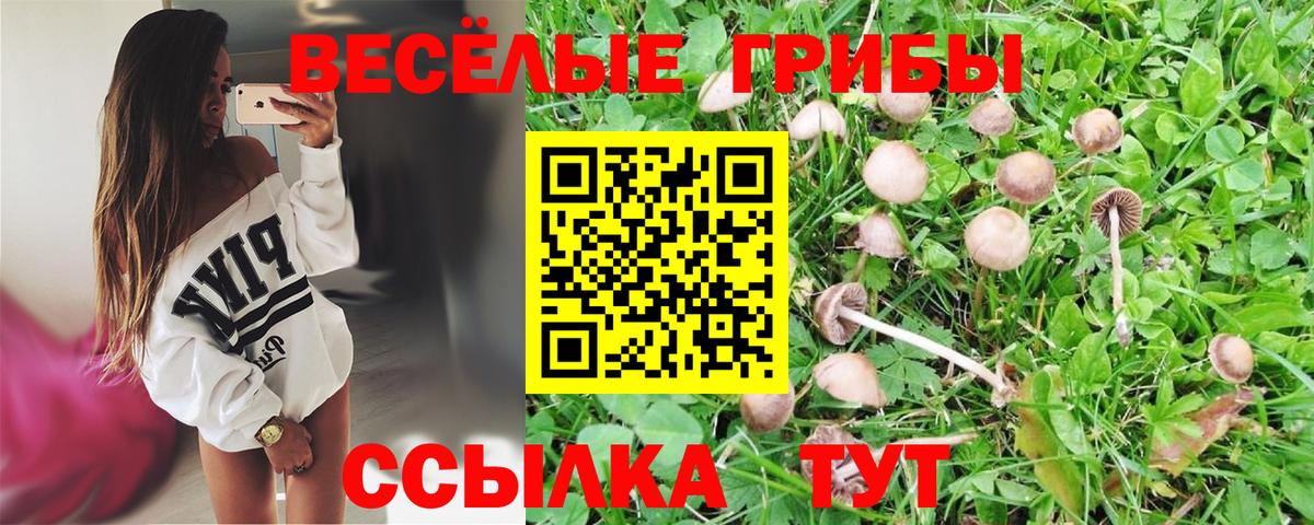 Псилоцибиновые грибы Magic Shrooms  Вход с VPN  Касимов 